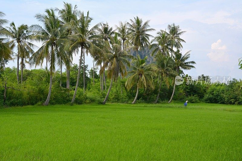 泰国Khao Nang Phanthurat森林公园的稻草人